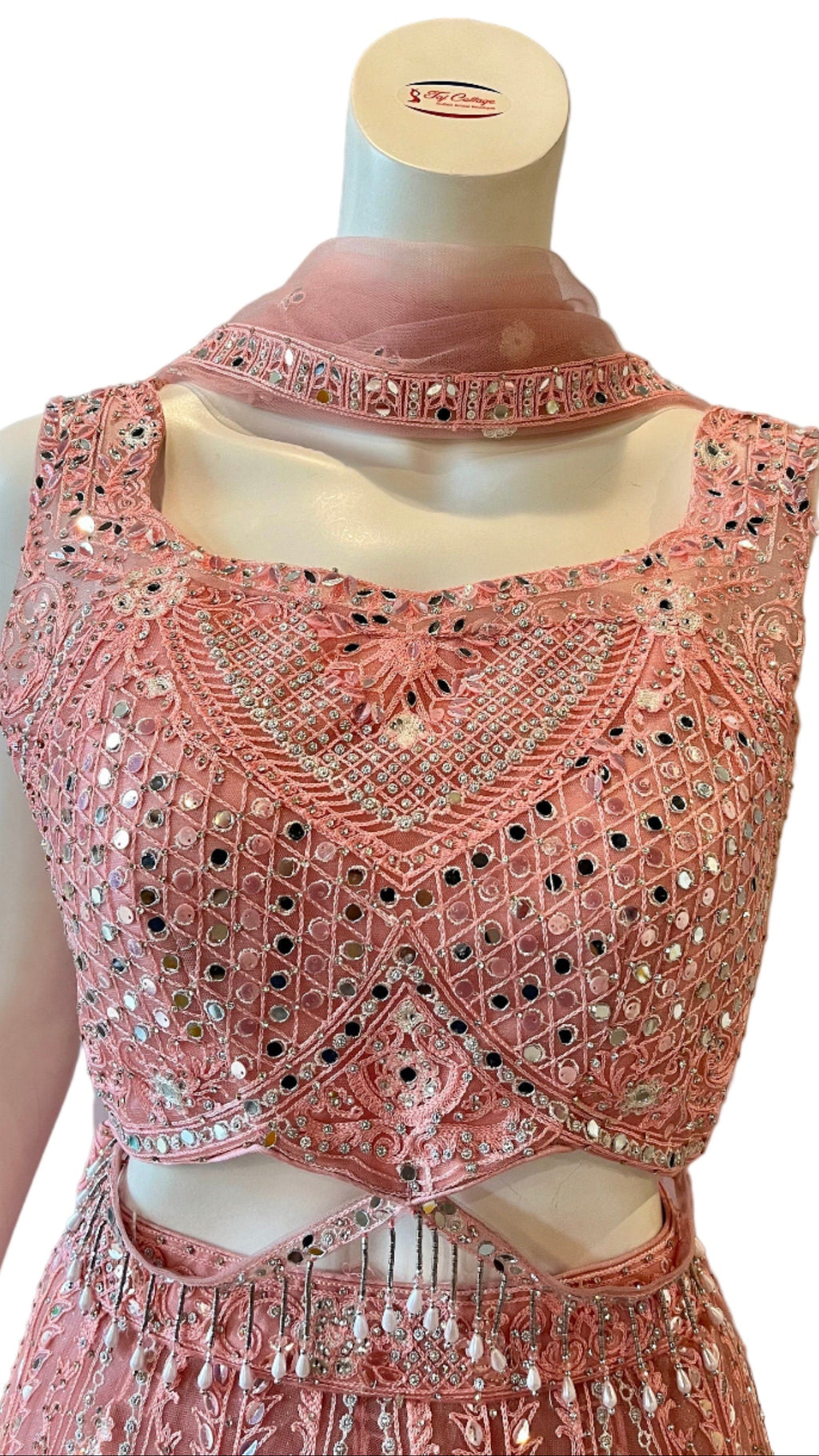 Pink Embroidered Lehnga with Beads