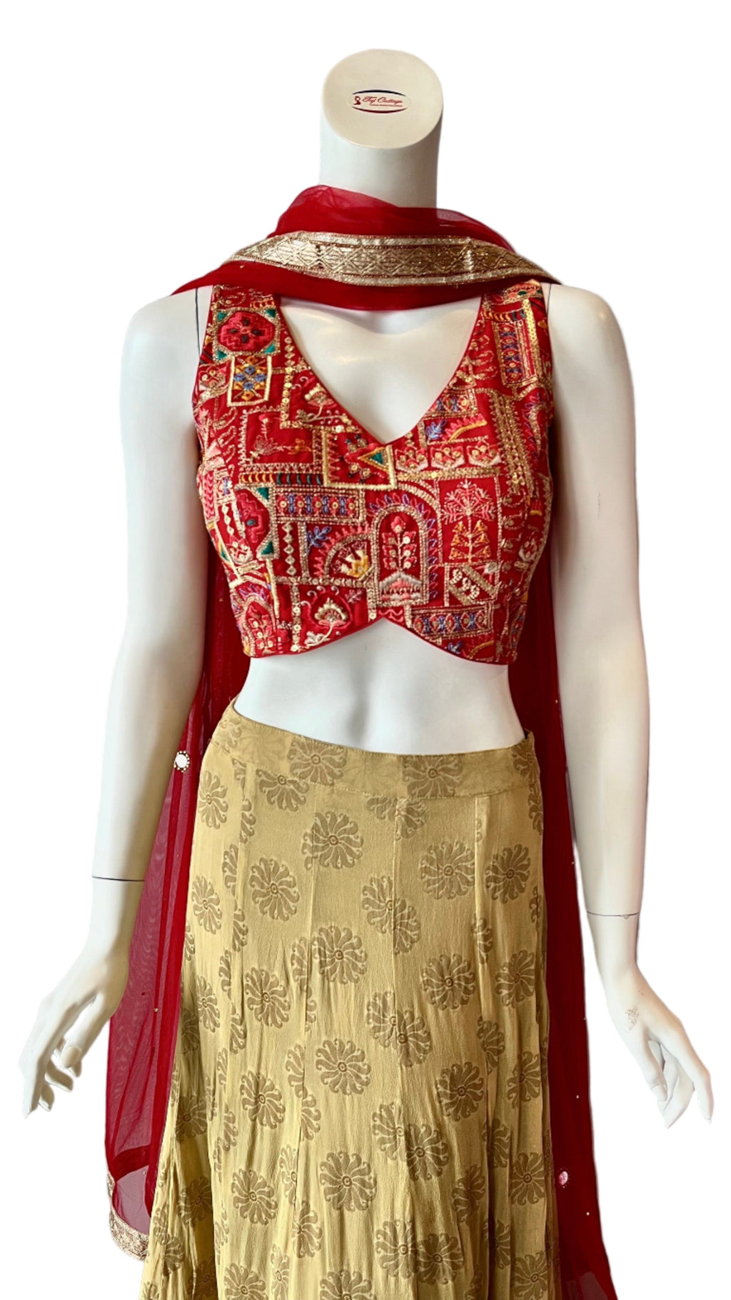 Gold & Red Lehnga with Jari Border