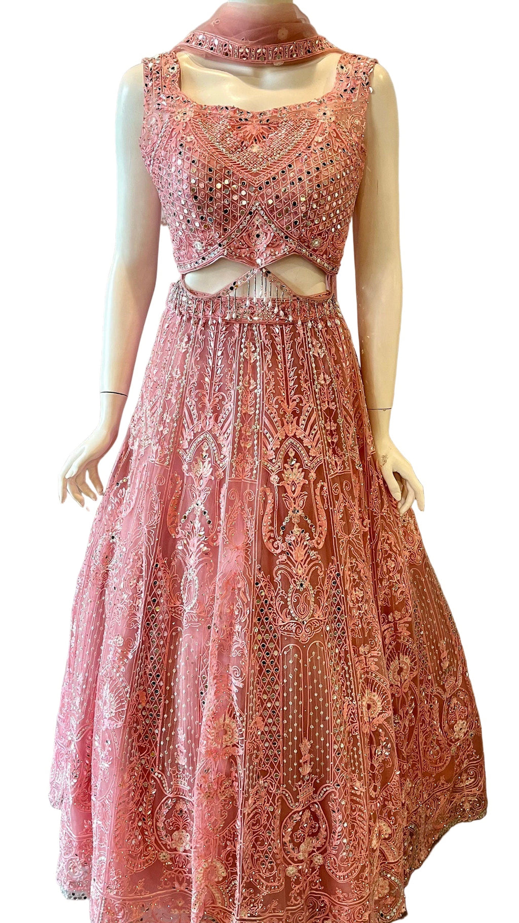 Pink Embroidered Lehnga with Beads