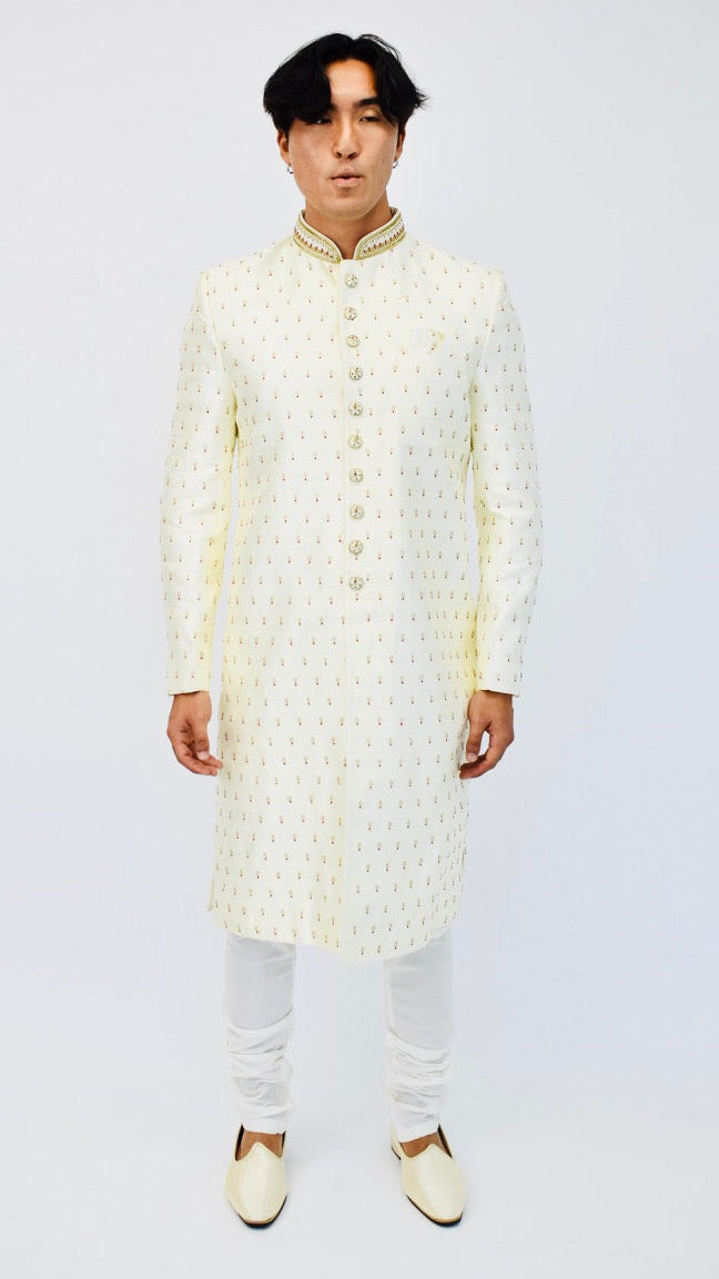 Fancy Gold Embroidered Shoes