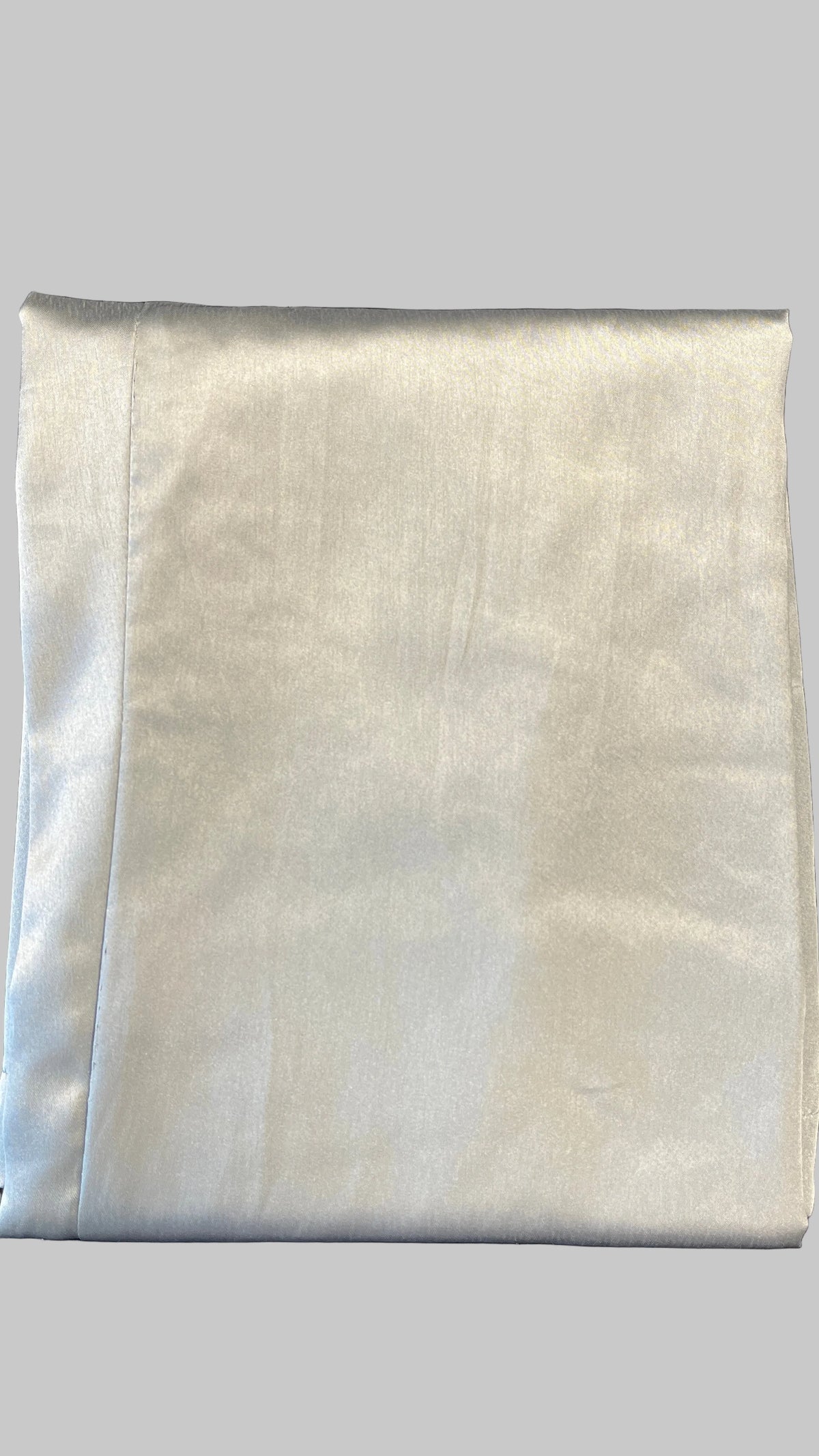 Sky-Blue Net Embroidered Saree