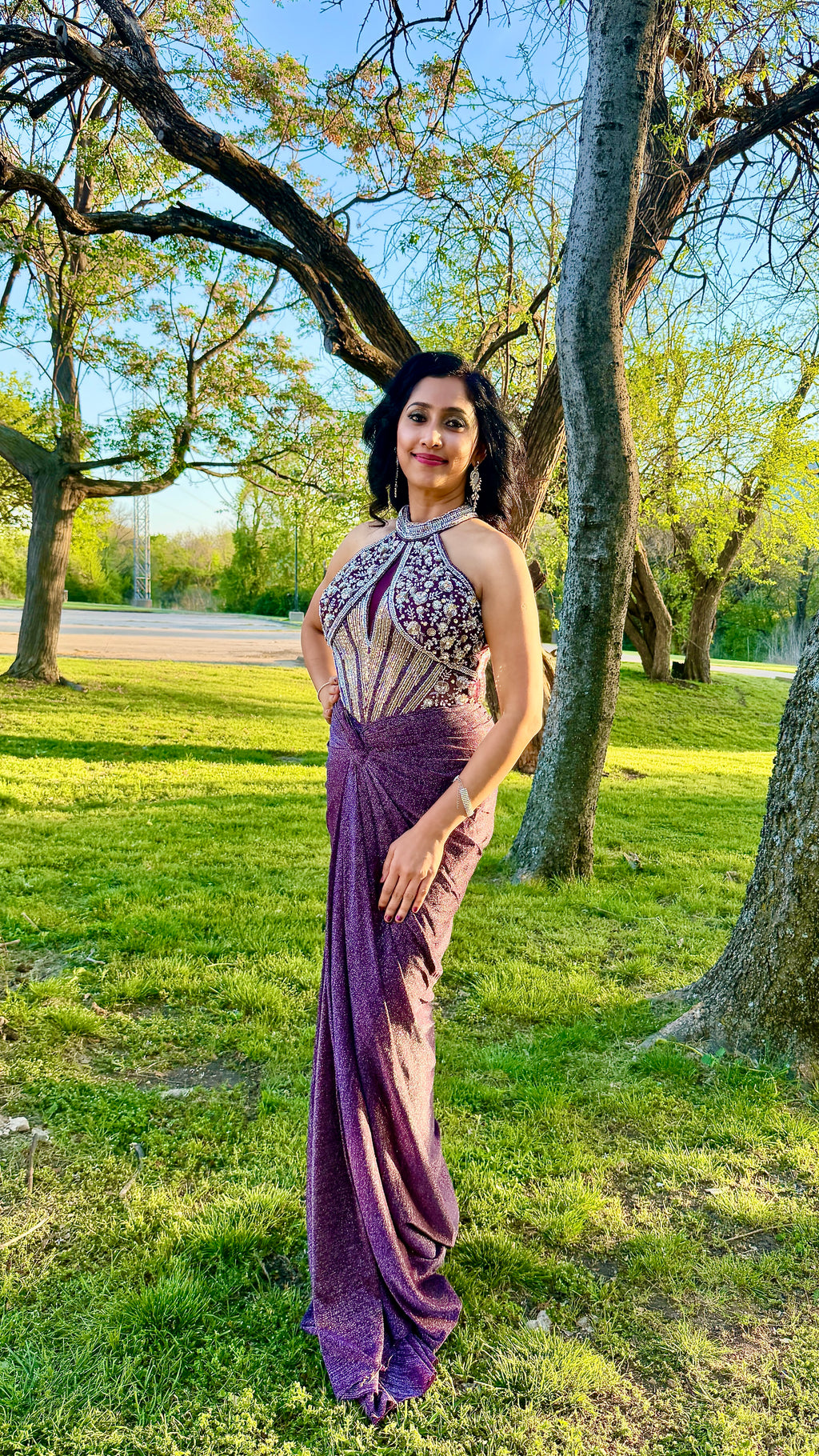 Purple and Silver Draped Gown