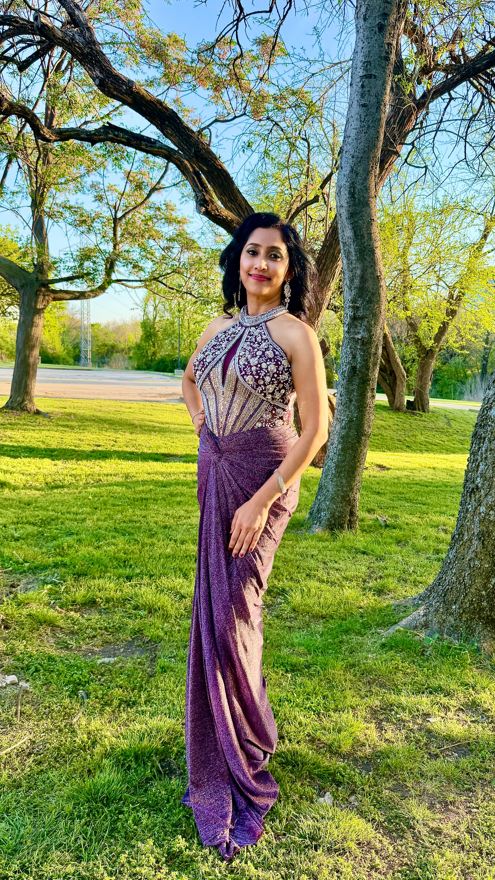 Purple and Silver Draped Gown