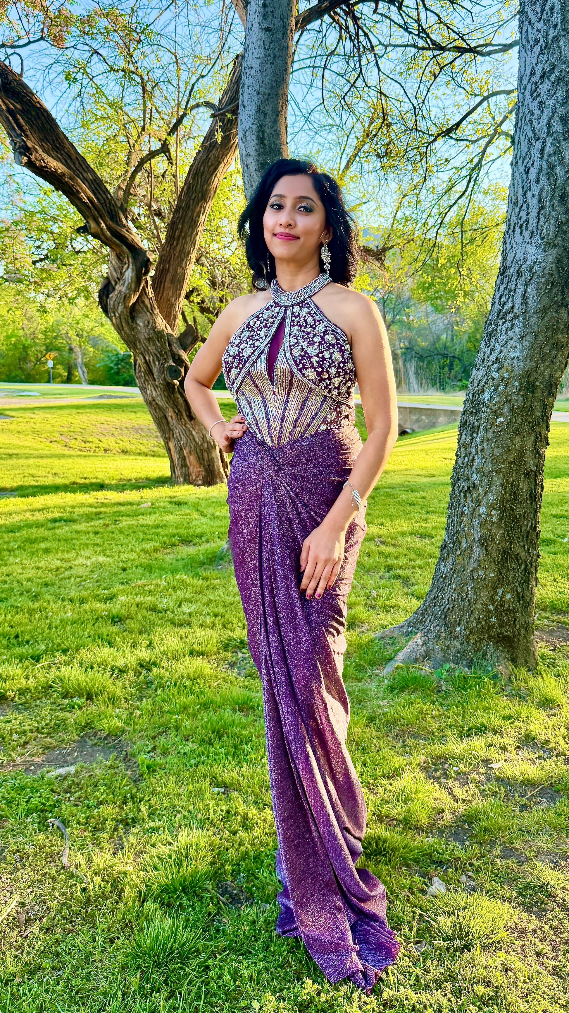 Purple and Silver Draped Gown