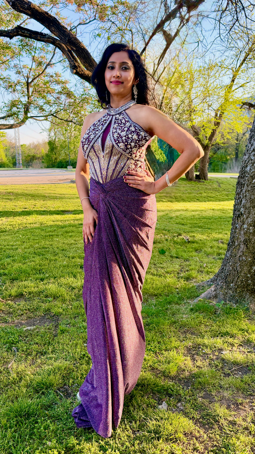Purple and Silver Draped Gown
