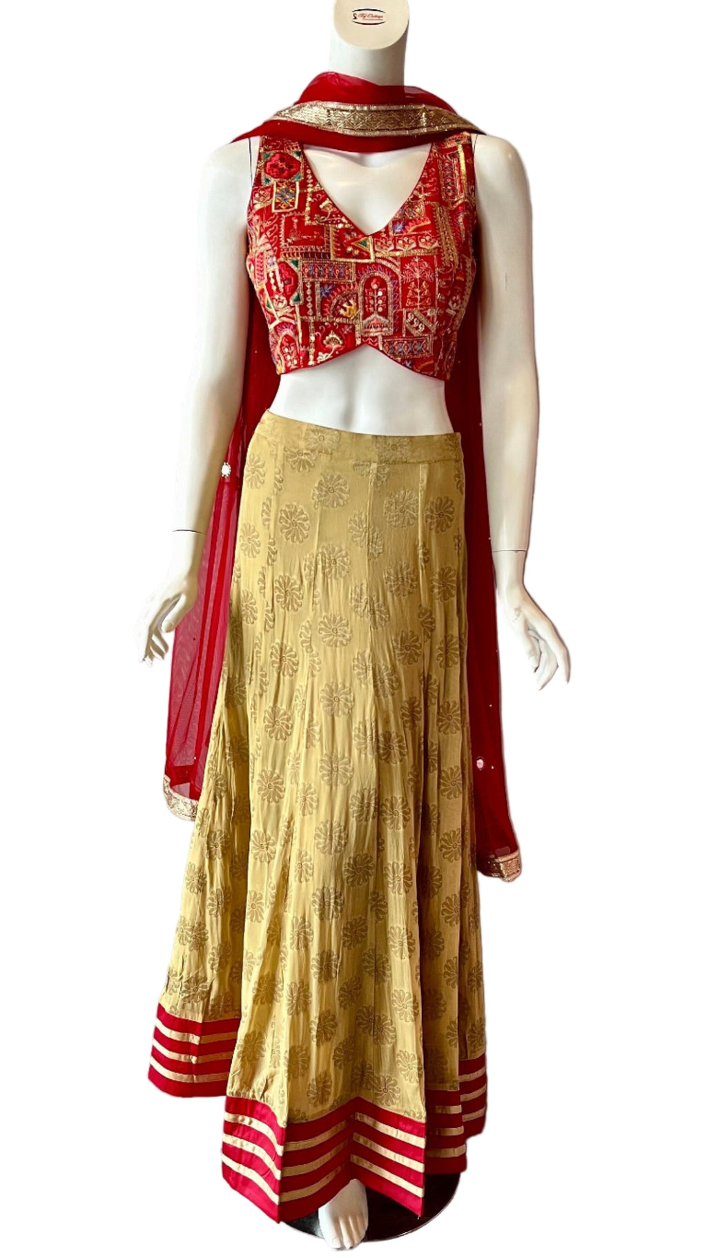 Gold & Red Lehnga with Jari Border