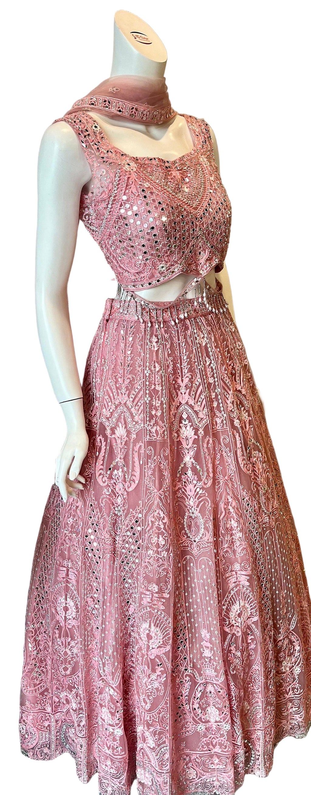 Pink Embroidered Lehnga with Beads